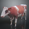 Brown And White Cow Standing On Dark Background With Natural Color Pattern