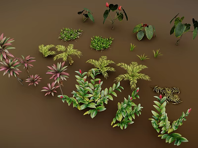 Diverse Green And Colorful Foliage Plants Arranged On Brown Background Surface 3d model