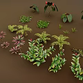 Diverse Green And Colorful Foliage Plants Arranged On Brown Background Surface
