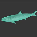 Silver Fish With Large Eyes And Black Spots On Gray Background With Reflection