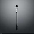 Classic Traditional Street Lamp With Black Metal Pole And Glass Shade Outdoor