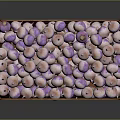 Fresh Purple And White Onions In Wooden Crate For Healthy Eating