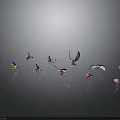 Colorful Birds with Spreading Wings and Resting Positions on Black Background with Reflective Surface