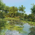 Serene Park Landscape With Lush Trees Calm Water Green Grass And Natural Reflection