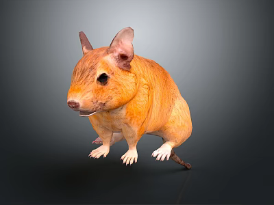 Orange Colored Mouse 3D Render In Standing Pose With Detailed Fur 3d model