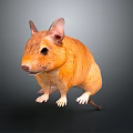 Orange Colored Mouse 3D Render In Standing Pose With Detailed Fur 3d model
