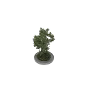 Outdoor Tree Planter With Lush Green Trees And Round Concrete Base