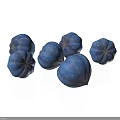 Fresh Blue Plant Fruits With Round Shape And Smooth Surface On White Background
