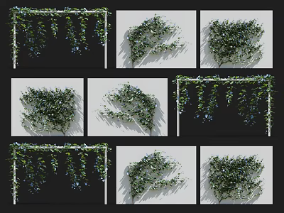 Green Decorative Vines in Various Shapes for Wall and Hanging Decor 3d model