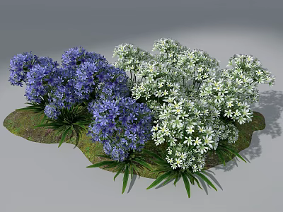 Purple And White Flowers Growing On Green Mossy Grass With Green Leaves 3d model