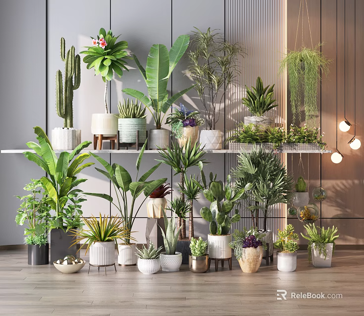 Indoor Potted Plants Collection With Various Green Plants And Colorful Pots On Shelves 3d model 