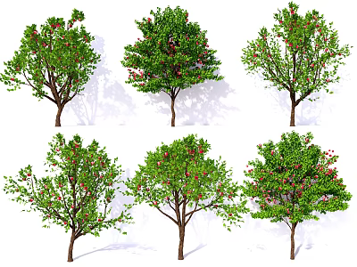 Different Arbor Tree Varieties With Green Foliage And Red Blossoms 3d model