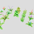 Colorful Plants Collection With Various Shapes And Different Colored Flowers In Illustration Style