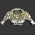 Golden Shiny Metallic Short Sleeve Blouse With Collar And Reflection Effect
