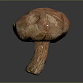 Detailed Mushroom Plant With Textured Brown Red Cap And Long Stem