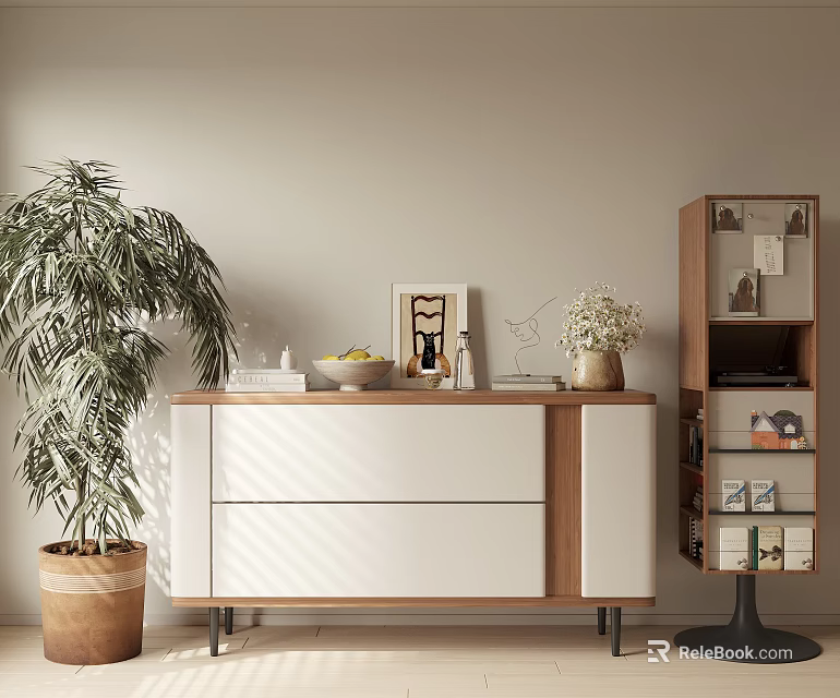 Modern Entryway Cabinet And Side Cabinet With White Drawers Wooden Shelves Green Plant And Decorations 3d model 