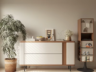 Modern Entryway Cabinet And Side Cabinet With White Drawers Wooden Shelves Green Plant And Decorations 3d model