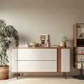 Modern Entryway Cabinet And Side Cabinet With White Drawers Wooden Shelves Green Plant And Decorations