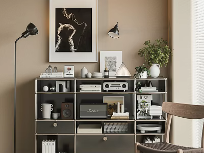 Modern Stylish Decorative Cabinet with Books Ornaments and Potted Plant in Living Room Interior 3d model