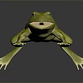 Realistic Green Reptile With Extended Tongue On Dark Reflective Background