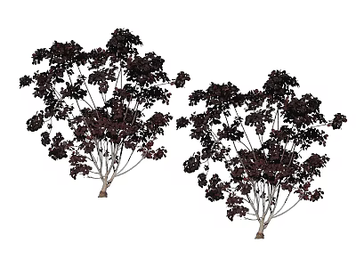 Modern Tree Big Tree 3d model Modern Tree Big Tree 3d model