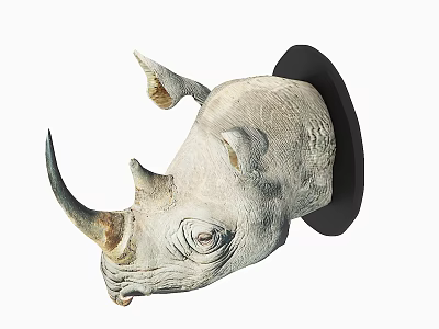 Realistic Rhinoceros Head Animal Wall Decor With Detailed Horn And Black Base 3d model