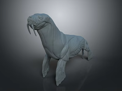 Detailed 3D Walrus Anatomical Model For Medical Education With Muscle Structure 3d model