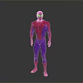 Spider Man Costume With Red And Purple Design Web Pattern And Yellow Eyes Standing Pose