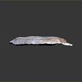 Natural Wood Stone Material Featuring Pinkish White Color Orange Veins And Rough Texture