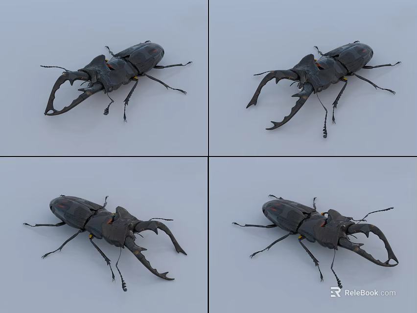 Flying Stag Beetle With Large Mandibles Shown In Four Different Angles Close Up 3d model 