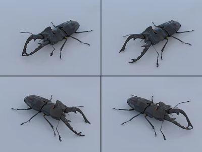 Flying Stag Beetle With Large Mandibles Shown In Four Different Angles Close Up 3d model