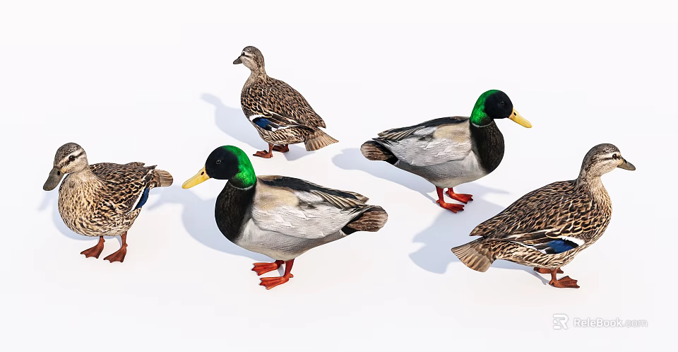 Colorful Reptiles With Green Heads Brown Bodies And Red Feet Group 3d model 