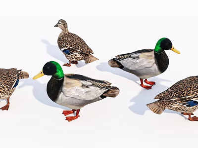 Colorful Reptiles With Green Heads Brown Bodies And Red Feet Group 3d model