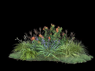 Diverse Garden Plant Combination With Orange Flowers Purple Blooms Green Grasses And Ferns 3d model