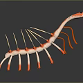 Game Movie Character With Red And White Body Long Neck Multiple Legs Spiked Back
