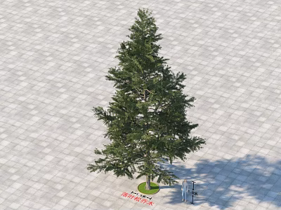 Tall Green Arbor With 10m Height Standing On Paved Ground And Shadow 3d model