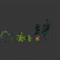 Diverse Collection Of Green Plants With Various Shapes Foliage And Sizes