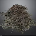 Natural Pile of Twigs Leaves and Branches with Organic Debris