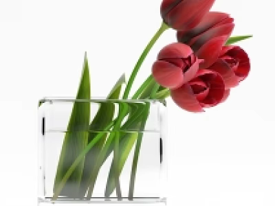 Red Tulips In Transparent Glass Vase With Green Leaves And Water 3d model