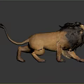 Realistic Lion With Open Mouth And Thick Mane In Dynamic Standing Pose 3d model
