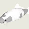 Stunning White And Gray Spotted Koi Fish Showcasing Unique Patterns In Water