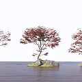 Red Leaf Trees with Stones and Green Grass on Wooden Floor Against White Background