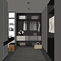Elegant Modern Walk-in Closet with White Gray Tones Metal Frame Hanging Area Drawers and Carpet
