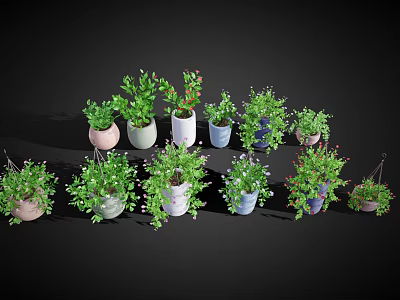 Colorful Potted Plants with Green Foliage for Home Decor Hanging and Tabletop 3d model