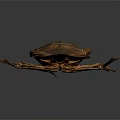 Giant Water Bug With Brown Exoskeleton Long Mouthparts And Large Wings On Dark Background