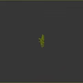 Progressive Growth Stages of Green Plants Showing Increasing Height and Foliage on Gray Background