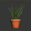 Vibrant Houseplant With Long Green Leaves And Pink Flower In Orange Pot