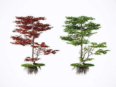 Two Floating Arbor Trees With Red Green Leaves Exposed Roots And Green Grass Mats 3d model