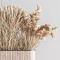Shower Sauna Space Decorated With Dried Wheat Herbs In Wooden Planter