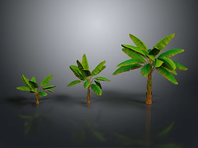 Three Banana Trees of Different Sizes With Gray Background And Ground Reflection 3d model
